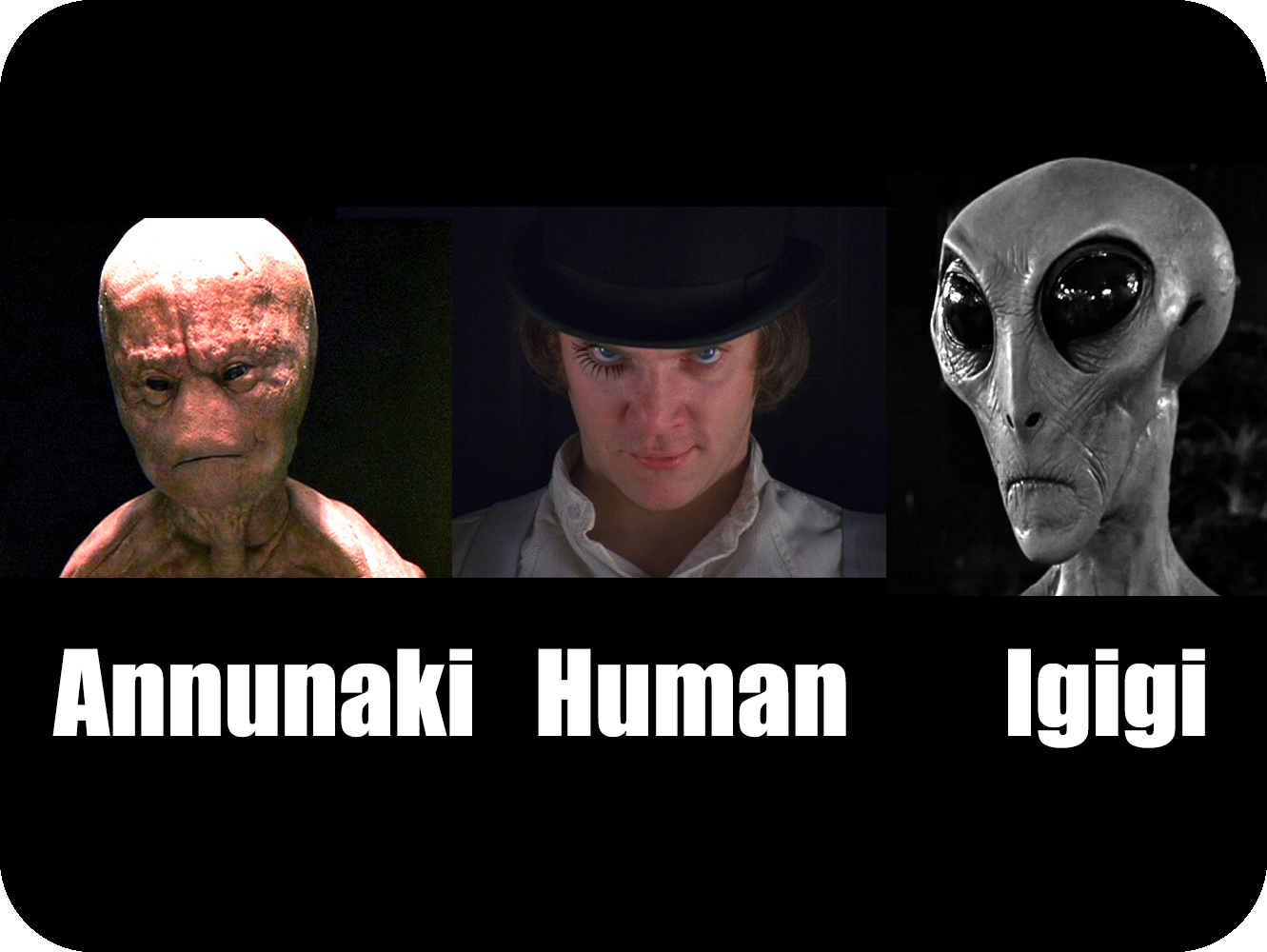 igigihumanf